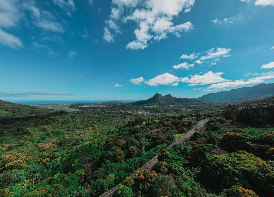 Drone view of a green valley road toward the mountains